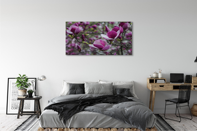 Tablouri canvas magnolie violet