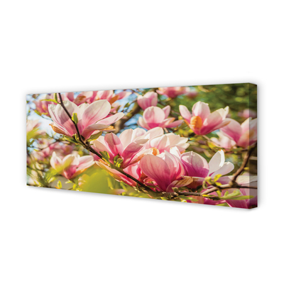 Tablouri canvas magnolie roz