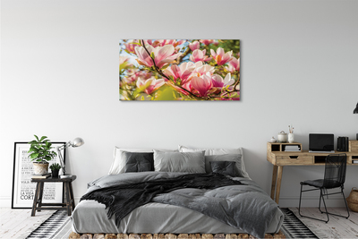 Tablouri canvas magnolie roz