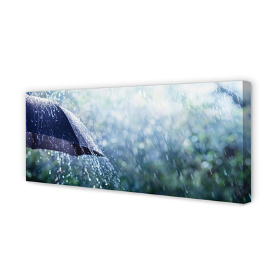 Tablouri canvas picături de ploaie Umbrella