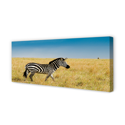 Tablouri canvas caseta Zebra