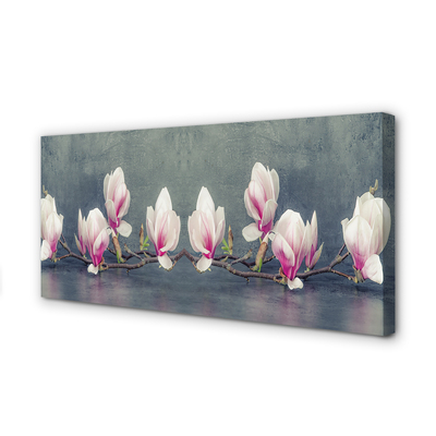 Tablouri canvas ramură de magnolie