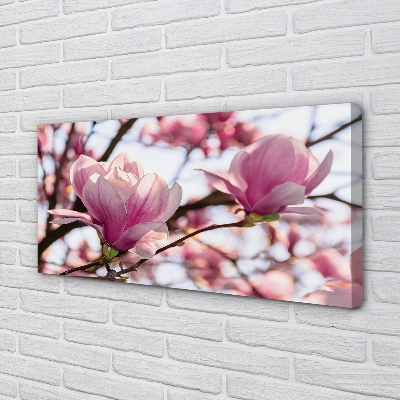 Tablouri canvas copac magnolie
