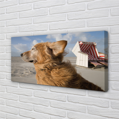 Tablouri canvas Plaja de câine Brown