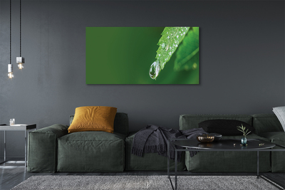 Tablouri canvas leaf picătură de apă