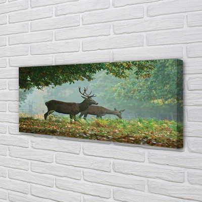 Tablouri canvas pădure toamna Deer