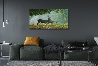 Tablouri canvas pădure toamna Deer