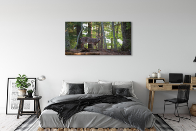 Tablouri canvas pădure cerb