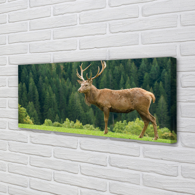 Tablouri canvas Deer în domeniu