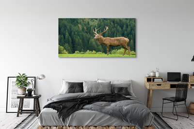 Tablouri canvas Deer în domeniu