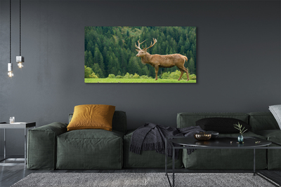 Tablouri canvas Deer în domeniu