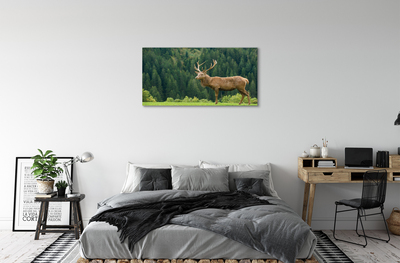 Tablouri canvas Deer în domeniu