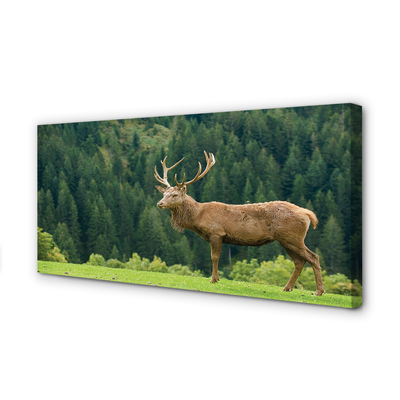 Tablouri canvas Deer în domeniu