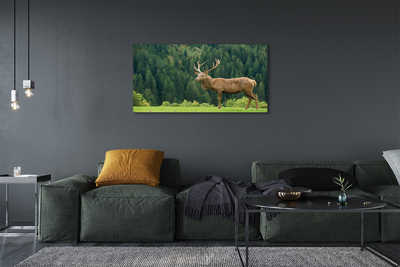 Tablouri canvas Deer în domeniu