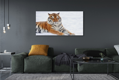 Tablouri canvas Tiger de iarnă