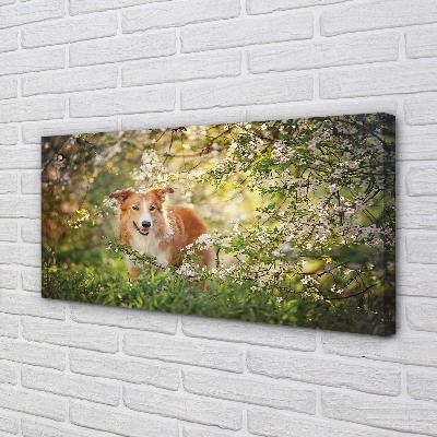 Tablouri canvas Dog flori pădure