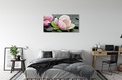 Tablouri canvas pietre Magnolia