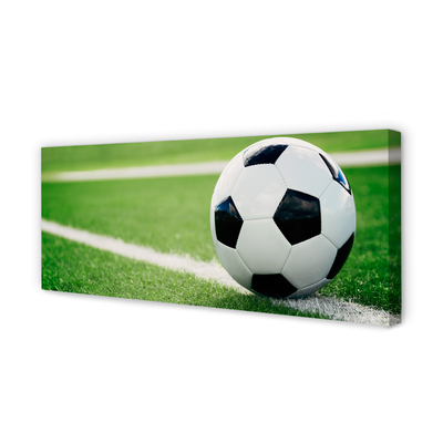 Tablouri canvas peluză de fotbal