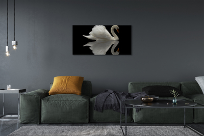 Tablouri canvas Swan în noapte