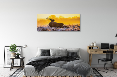 Tablouri canvas Deer răsărit de soare de iarnă