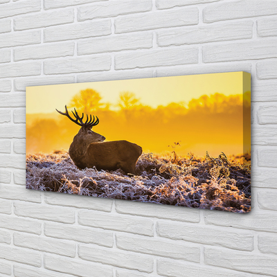 Tablouri canvas Deer răsărit de soare de iarnă