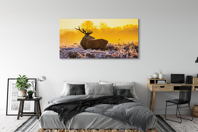 Tablouri canvas Deer răsărit de soare de iarnă