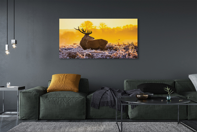 Tablouri canvas Deer răsărit de soare de iarnă