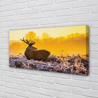 Tablouri canvas Deer răsărit de soare de iarnă