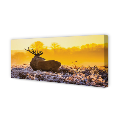 Tablouri canvas Deer răsărit de soare de iarnă