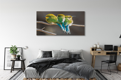 Tablouri canvas Păsări pe o ramură