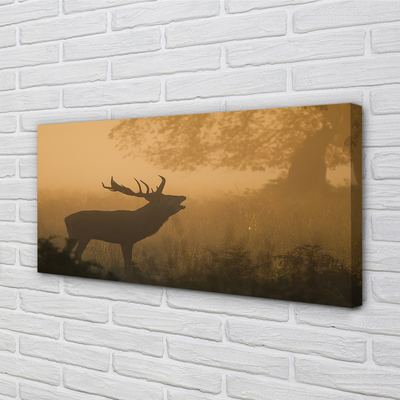 Tablouri canvas Sunrise Deer