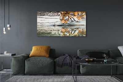 Tablouri canvas tigru Bea
