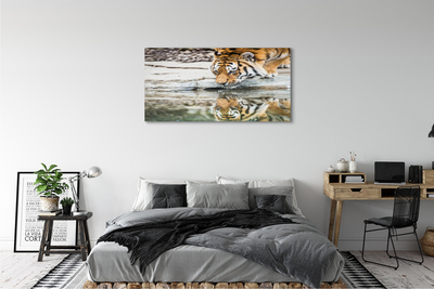 Tablouri canvas tigru Bea