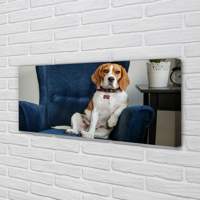Tablouri canvas câine ședinței