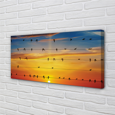Tablouri canvas Păsări pe apus de soare frânghii