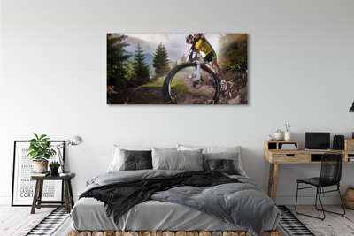 Tablouri canvas Cloud mountain bike