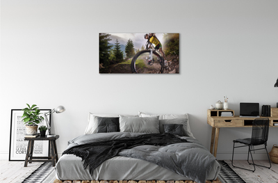 Tablouri canvas Cloud mountain bike