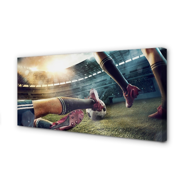 Tablouri canvas Pluta stadion de fotbal