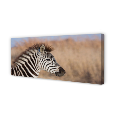Tablouri canvas zebră