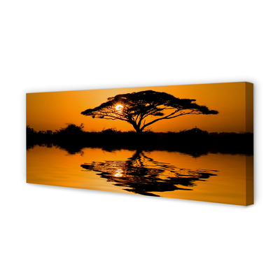 Tablouri canvas copac Apus de soare