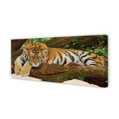 Tablouri canvas tigru copac