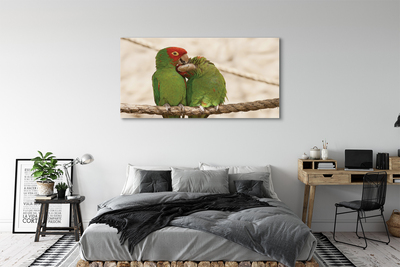 Tablouri canvas papagali verzi