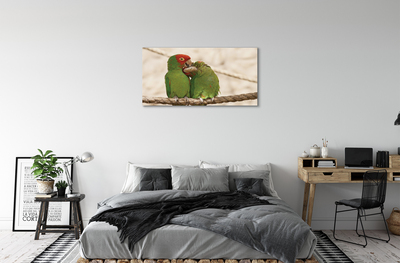 Tablouri canvas papagali verzi