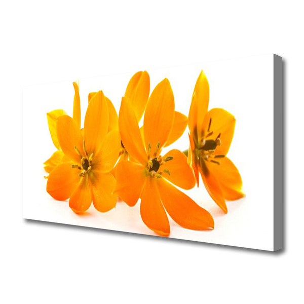 Tablou pe panza canvas Flori Floral Orange