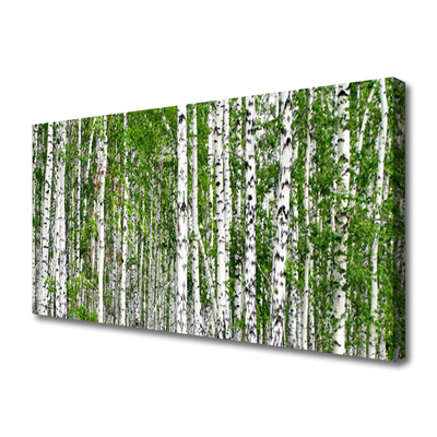 Tablou pe panza canvas Birch Forest Copaci Natura Verde Alb