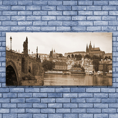 Tablou pe panza canvas Praga Podul Peisaj Sepia