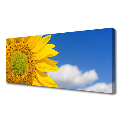 Tablou pe panza canvas Nori de floarea-soarelui Floral aur galben albastru