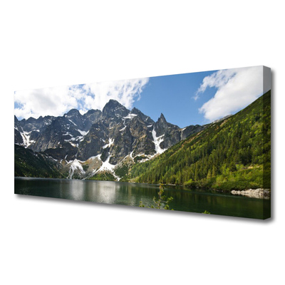 Tablou pe panza canvas Mountain Lake Forest Peisaj Verde Albastru Alb Gri