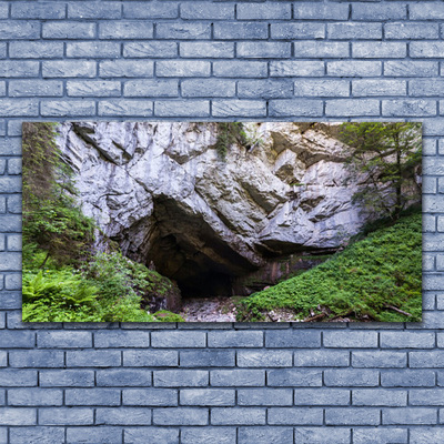Tablou pe panza canvas Munte Cave Natura Verde Gri