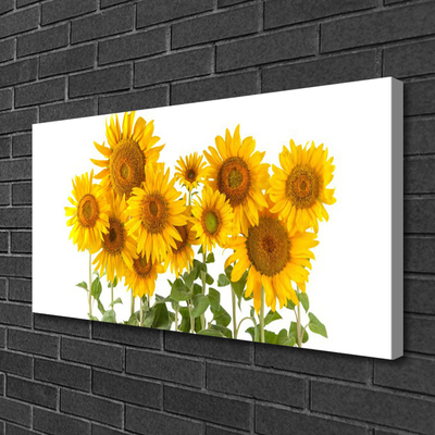 Tablou pe panza canvas Floarea soarelui Floral aur galben verde